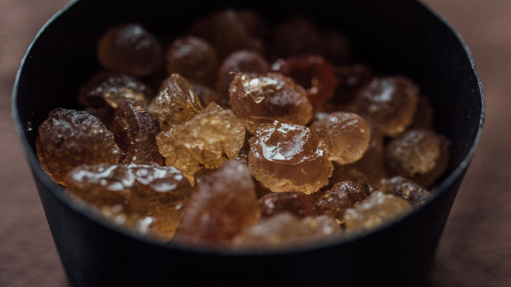 Damla sakızı (mastic gum) taneleri - Ege'nin doğal reçinesi, Türk kahvesine aroma katmak için kullanılıyor